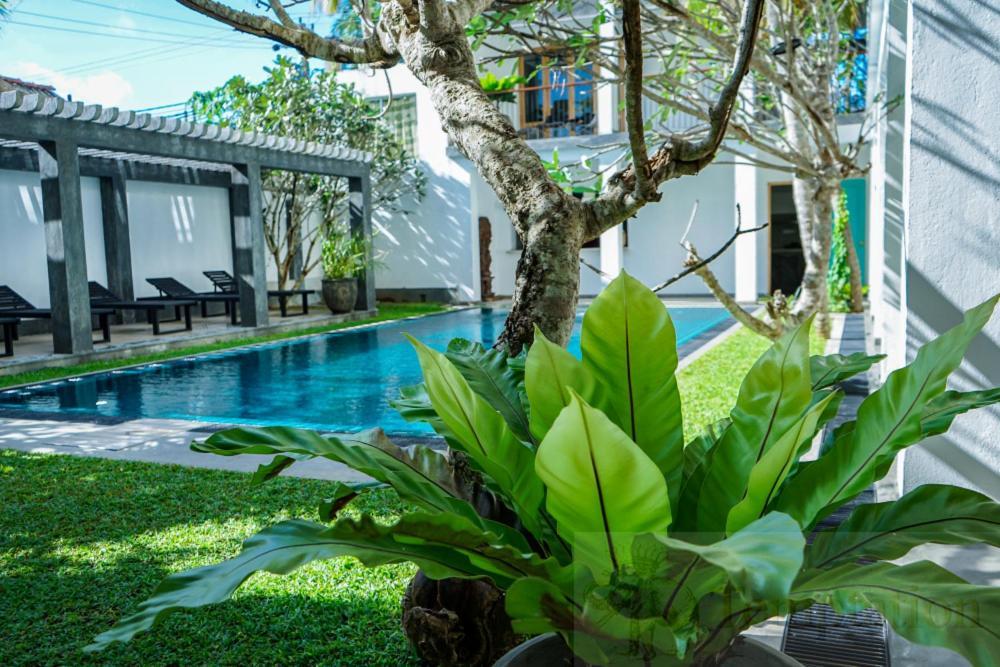 Temptation Hotel Hikkaduwa Luaran gambar